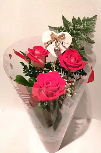 Natura floristeria - Leticia Pérez Paredes - Floristería en Alcoy/Alcoi