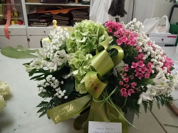 Flors Amanda