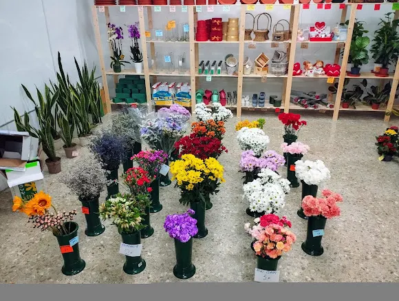 Floristería el Jardi d' Alzira
