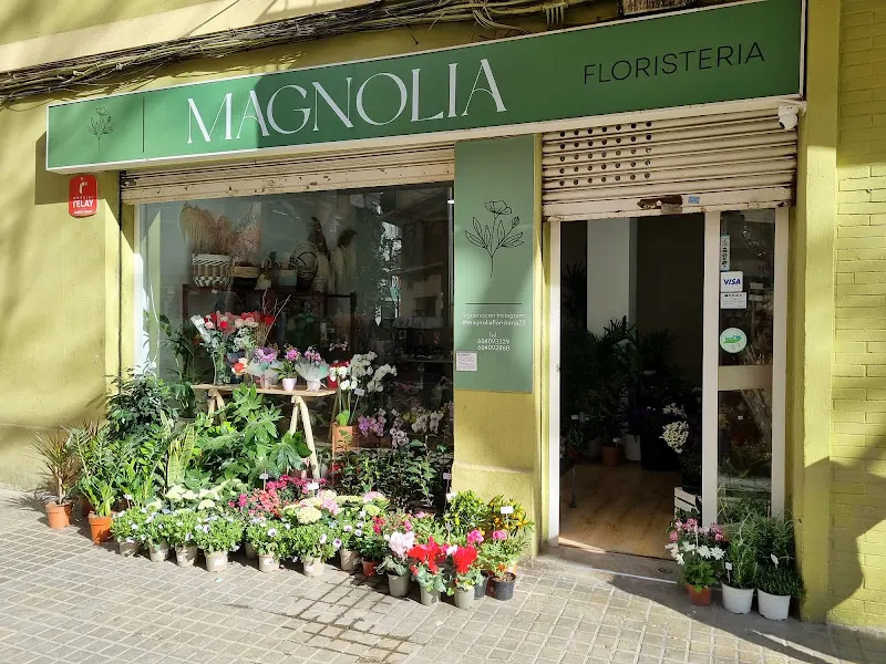 Magnolia Floristeria - Valencia