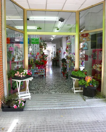 Floristería Tornasol