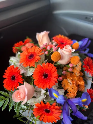 Flors Lola