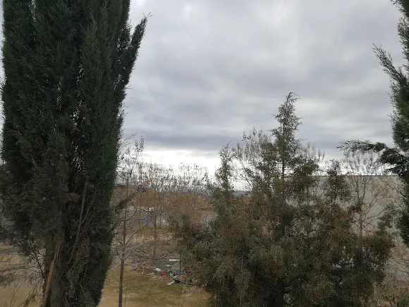 Soriaflor