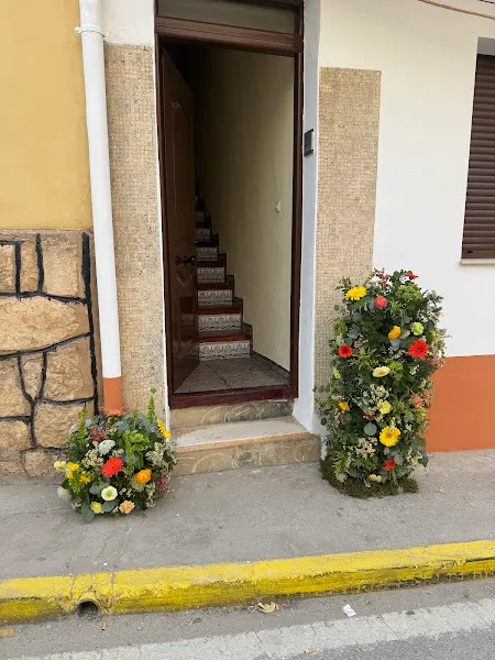 Floristería Azalea - Valencia