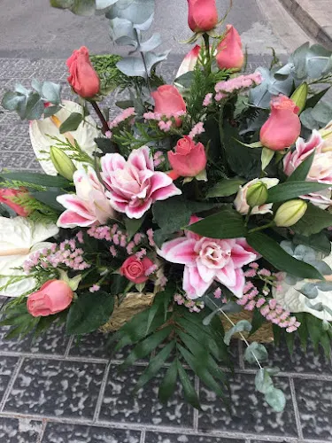 Floristeria Nenúfar Alzira
