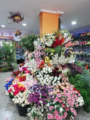 Flor Art María