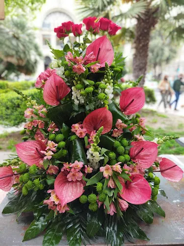 MANU FLORISTA