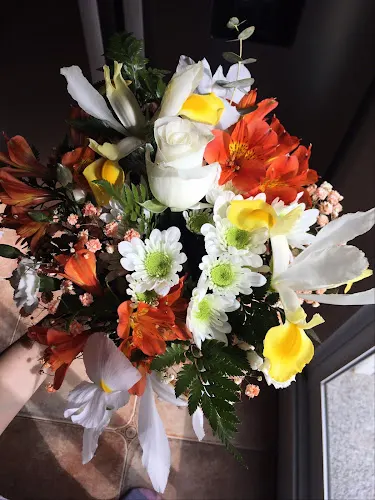 Floristeria Flor De Lis - Algemesí