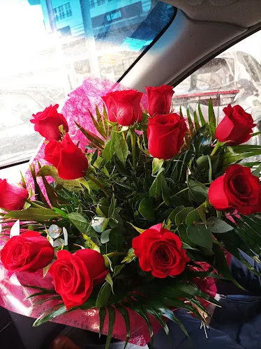 Ceres Floristas