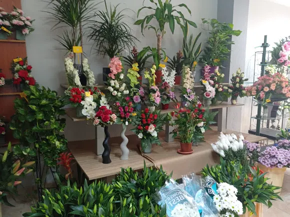 Flors Natura