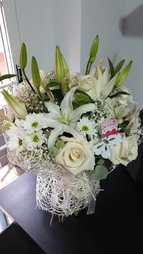 Bambú Flores y Plantas