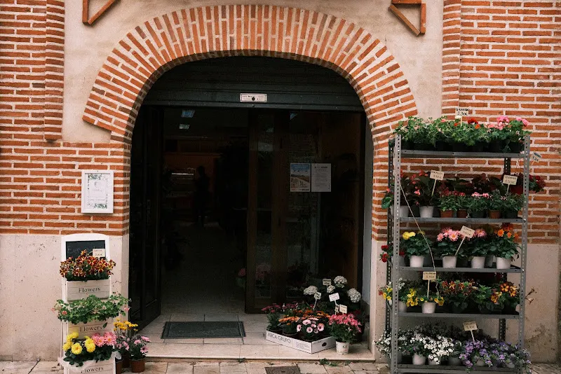 Floristeria La Casita de Alaejos - Alaejos