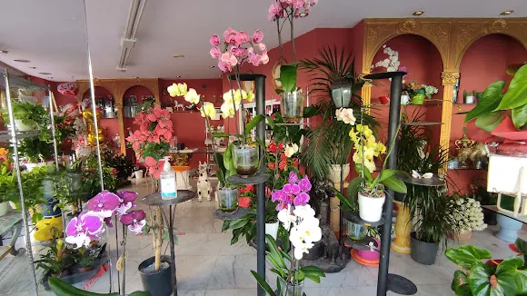 Floristería Santa Ana - Valladolid