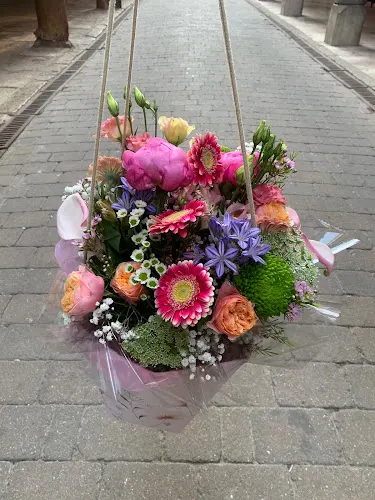 Floristería y Viveros Carmen - Medina de Rioseco