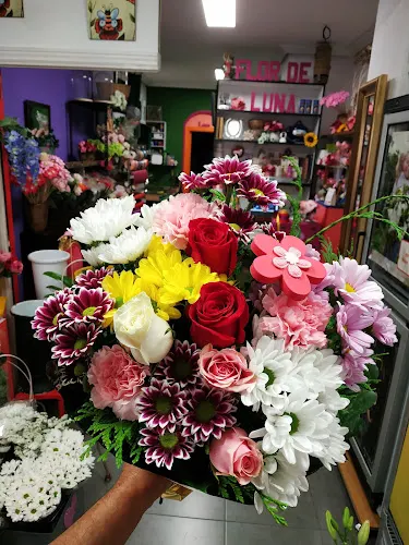 Floristería Flor de Luna de la Rosa