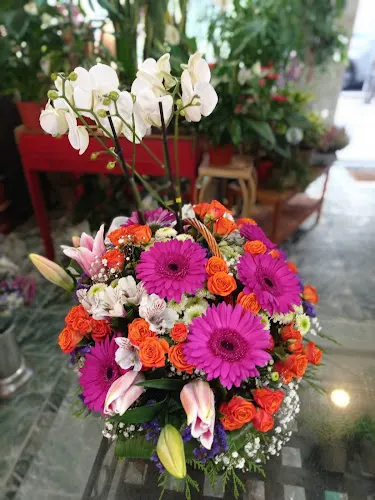 Floristería Garoe