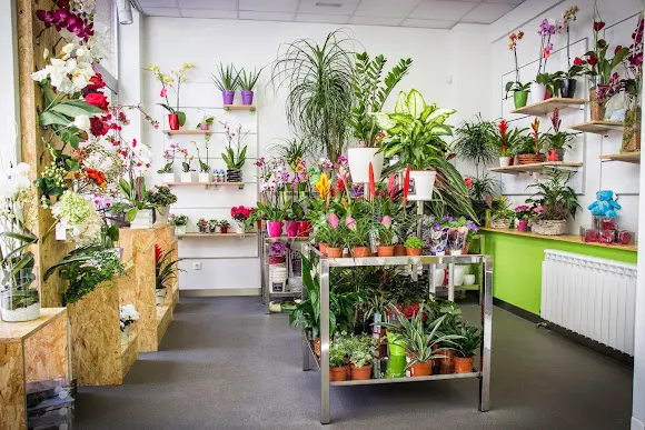 Elisabet Arte floral - Floristería en Valladolid