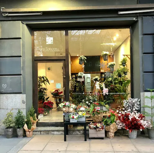 Floristería Ana Sabadell