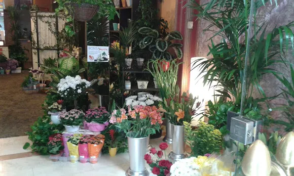 ORQUÍDEA FLORISTERÍA