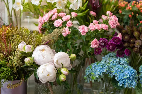 Floristería La Jara || Centro