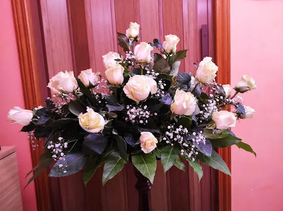 Flores Arum