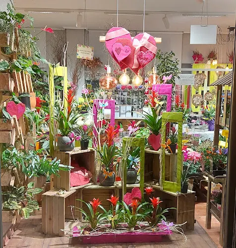 FLORES ARANTZA Getxo - Getxo