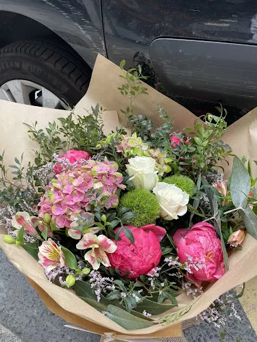 FLORISTERIA CENGOTITA - Durango