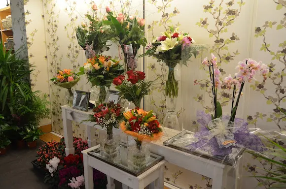 Floristería Alba Zalla - Zalla