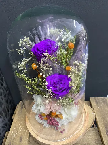 FLORISTERIA HIEDRA