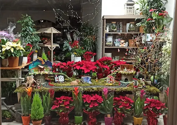 Floristeria Rementeria