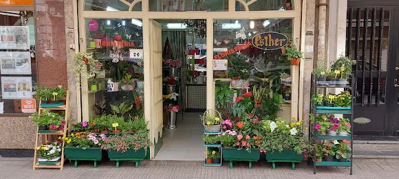 Floristeria Esther Begoña Aguirregabiria - Getxo