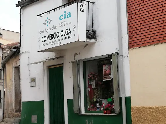 Floristería Comercio Olga - Fermoselle
