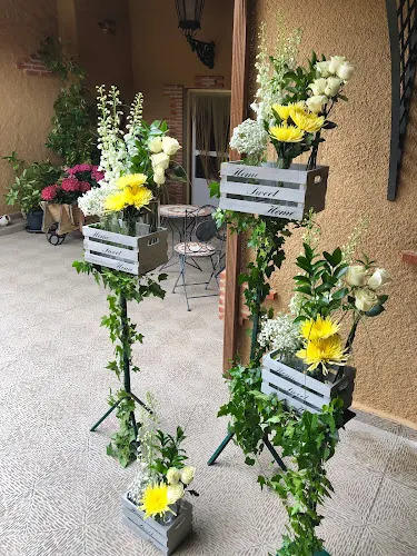 FLORISTERIA JEREMY - Fuentelapena