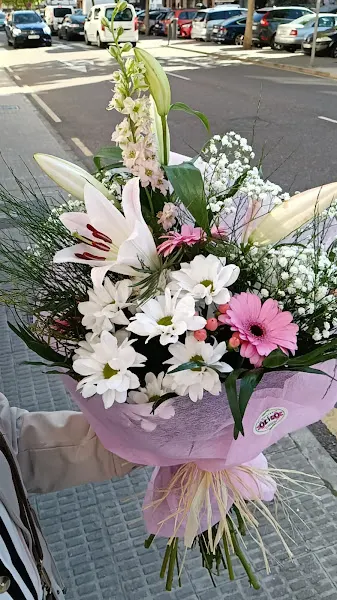 Floristeria Olilo - Zamora