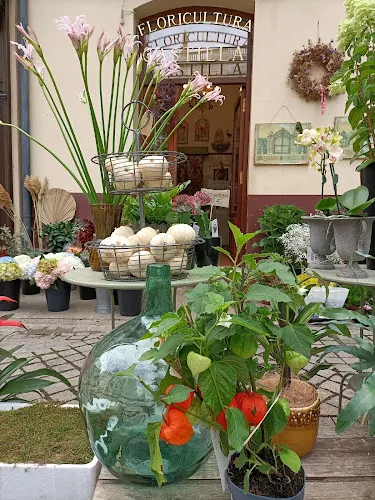 Floricultura Castilla