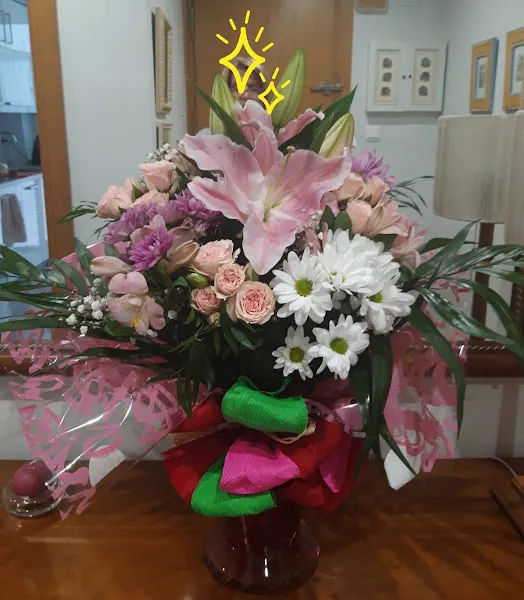Roma Floristas - Zaragoza