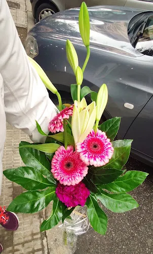 FLORISTERIA MIGUEL