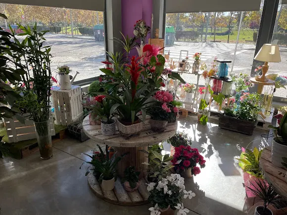 LopeFlor - Floristería en Zaragoza