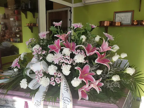 La Casa de la Flor - Sadaba