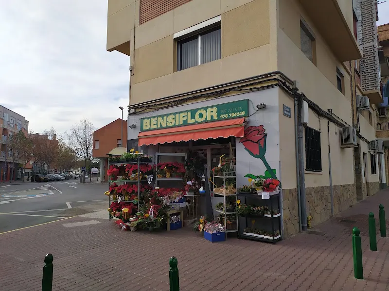 Bensiflor - Floristería Utebo Zaragoza - Utebo