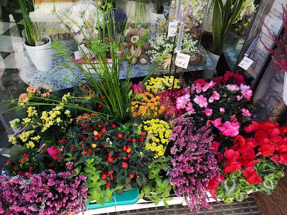 Flores Marbid