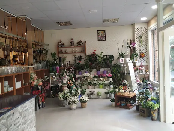 Floristería Ancora