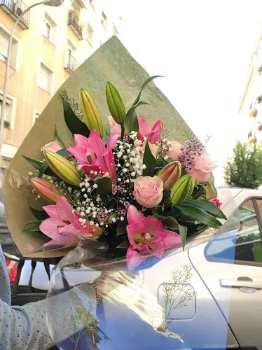 Natural Bouquet S L - Madrid