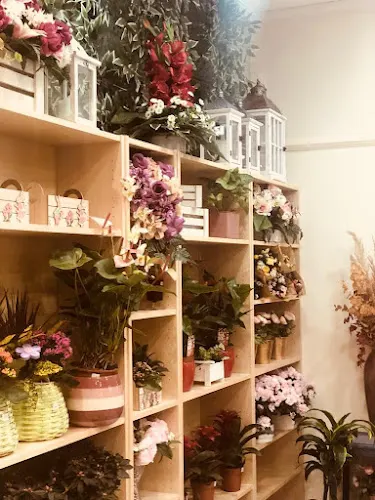 Melendo Floristas