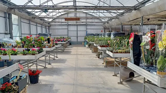 VIVEROS DE CEA SL - Floristería en Burgo de Ebro (El)