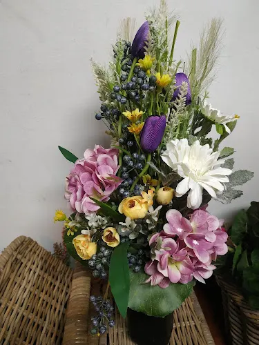Floristería Tikoplax