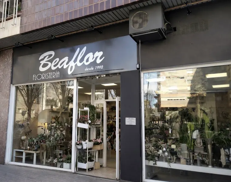 Floristería Beaflor - Zaragoza
