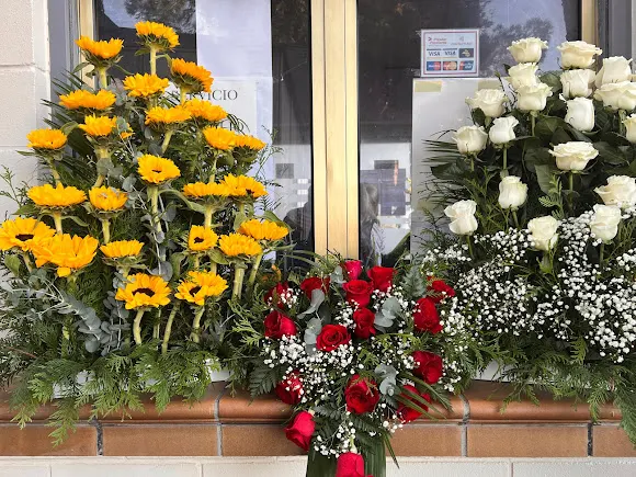Flores Cristina - Zaragoza