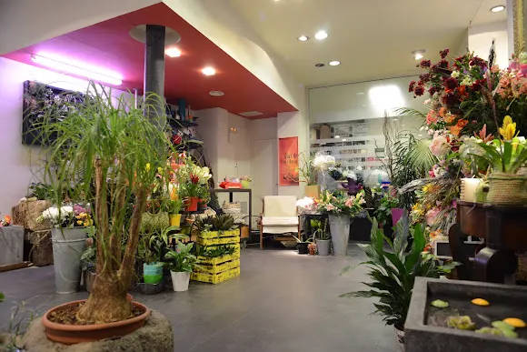Floristería La Moderna