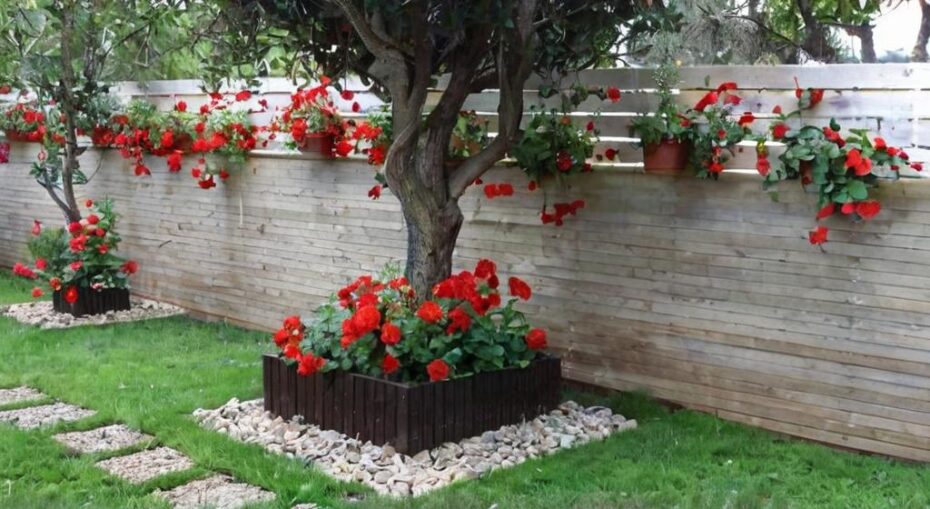 10 Reglas básicas que tienes que tener en cuenta a la hora de diseñar tu jardín